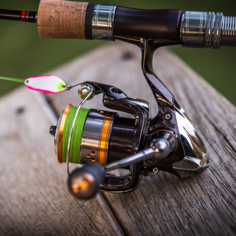 Fishing