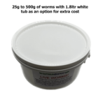 Medium Dendrobaena - Image 3