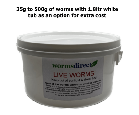 Medium Dendrobaena - Image 2