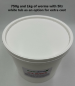 Medium Dendrobaena - Image 5