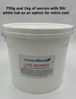 Medium Dendrobaena - Image 4