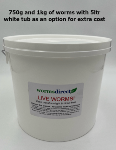 Large Dendrobaena - Worms Direct