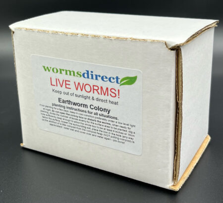 live-worms live-worms