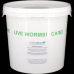 The "Wormkeeper" with medium Dendrobaena