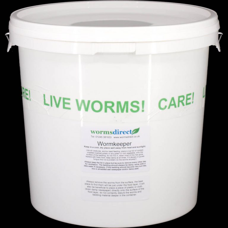 The "Wormkeeper" with large Lobworms Worms Direct