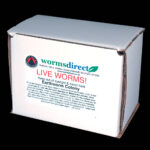 Worm Colonies