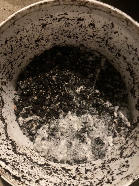 How to use Worms Direct 'Worm food' - Worms Direct